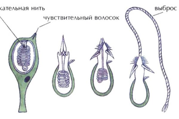 Кракен макет даркнет только через тор